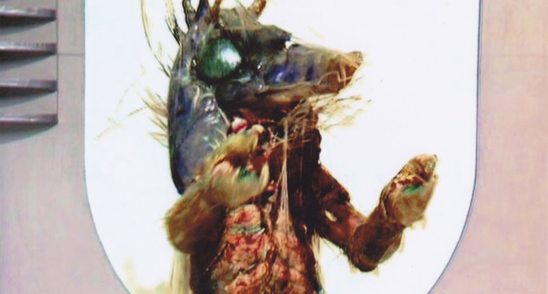 Illustration for article titled 20 Doctor Who Stories That Are Based On Real Science